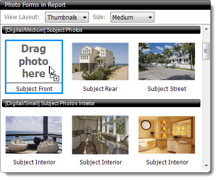 Photo Forms in Report panel