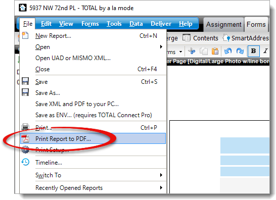 Print Report to PDF