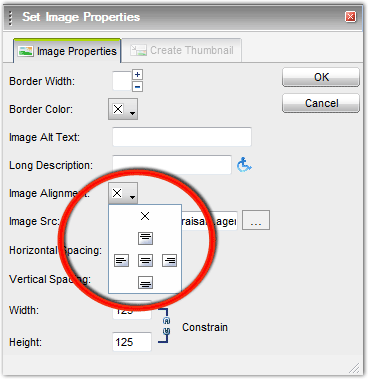 Image Alignment in Set Image Properties